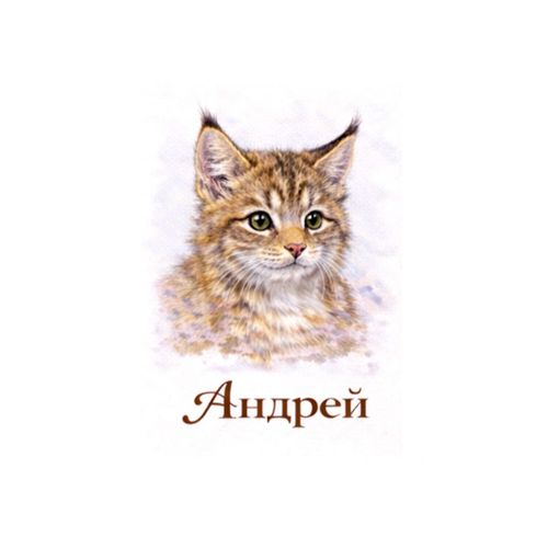 Андрей Кот.jpg — Картинки для брелков / Разное, 2072×2072, обои скачать бесплатно