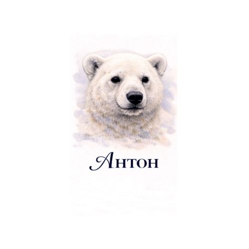 Антон Медведь.jpg — Картинки для брелков / Разное, 2072×2072, обои скачать бесплатно