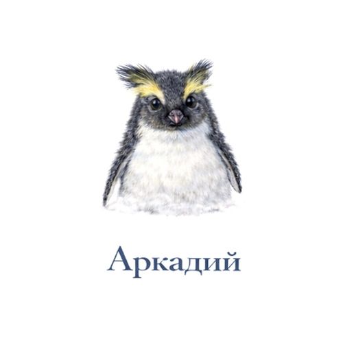 Аркадий Пингвин.jpg — Картинки для брелков / Разное, 2072×2072, обои скачать бесплатно