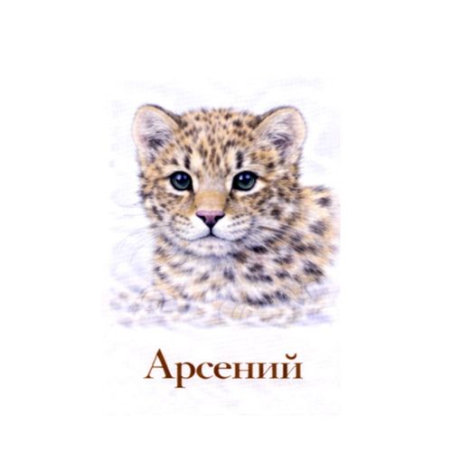 Арсений Тигренок.jpg — Картинки для брелков / Разное, 2072×2072, обои скачать бесплатно