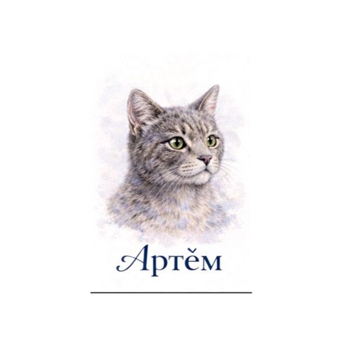 Артем Кот.jpg — Картинки для брелков / Разное, 2072×2072, обои скачать бесплатно