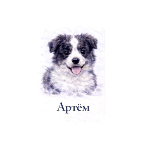 Артем Пес.jpg — Картинки для брелков / Разное, 2072×2072, обои скачать бесплатно