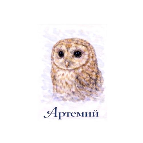 Артемий Сова 2.jpg — Картинки для брелков / Разное, 2072×2072, обои скачать бесплатно