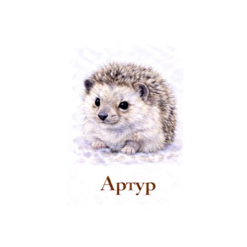 Артур Еж.jpg — Картинки для брелков / Разное, 2072×2072, обои скачать бесплатно
