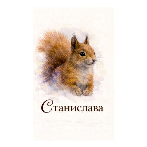 Белка Станислава.jpg — Картинки для брелков / Разное, 2072×2072, обои скачать бесплатно