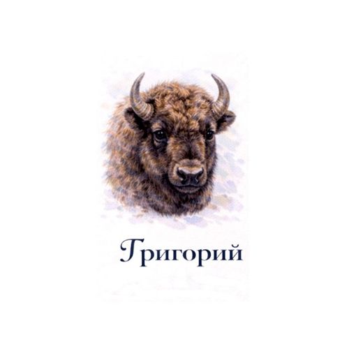 Бизон Григорий.jpg — Картинки для брелков / Разное, 2072×2072, обои скачать бесплатно