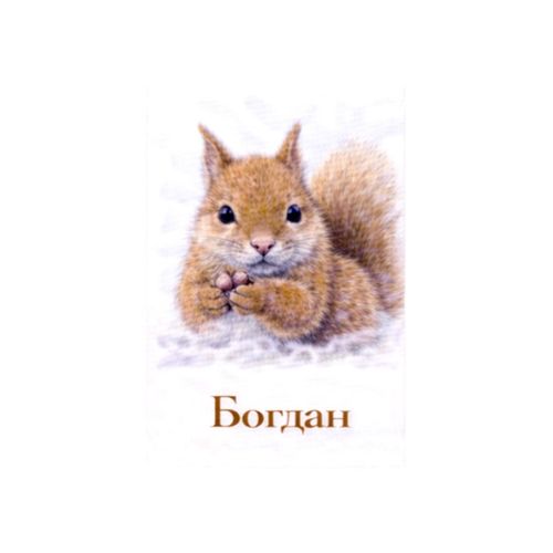 Богдан Белка.jpg — Картинки для брелков / Разное, 2072×2072, обои скачать бесплатно