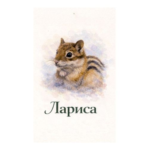 Бурундук Лариса.jpg — Картинки для брелков / Разное, 2072×2072, обои скачать бесплатно