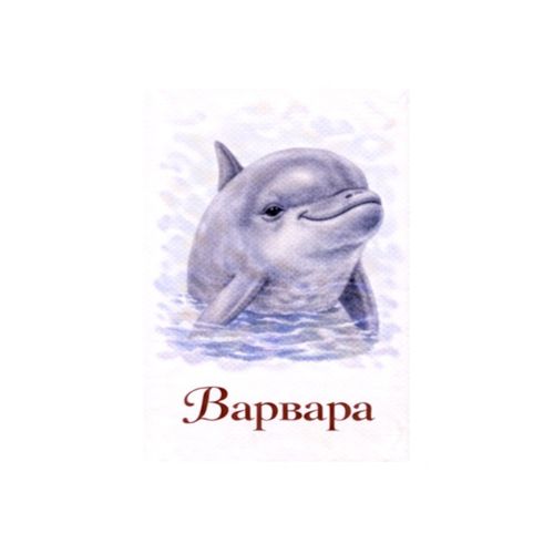 Варвара Дельфин.jpg — Картинки для брелков / Разное, 2072×2072, обои скачать бесплатно