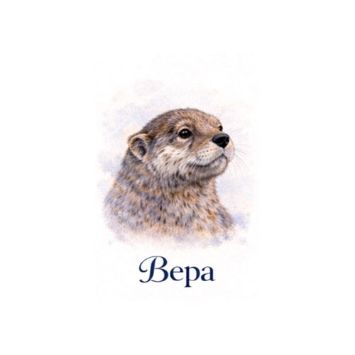Вера Выдра.jpg — Картинки для брелков / Разное, 2072×2072, обои скачать бесплатно