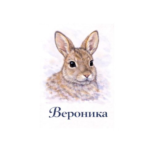Вероника Зайчик.jpg — Картинки для брелков / Разное, 2072×2072, обои скачать бесплатно