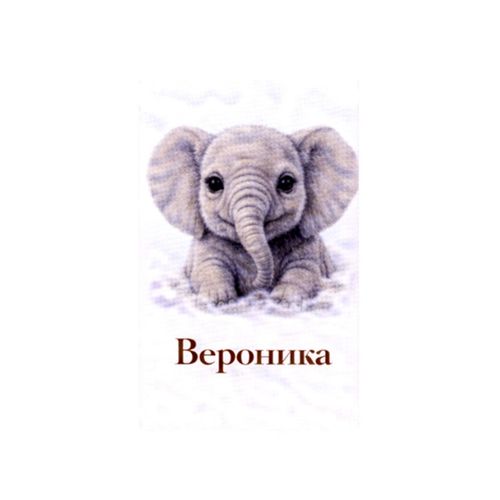 Вероника Слон.jpg — Картинки для брелков / Разное, 2072×2072, обои скачать бесплатно