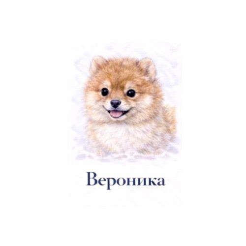Вероника Шпиц.jpg — Картинки для брелков / Разное, 2072×2072, обои скачать бесплатно