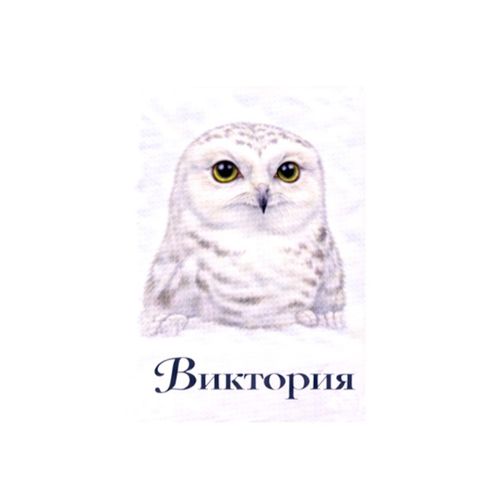 Виктория Сова.jpg — Картинки для брелков / Разное, 2072×2072, обои скачать бесплатно