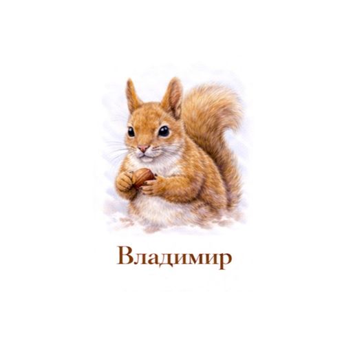 Владимир Белка.jpg — Картинки для брелков / Разное, 2072×2072, обои скачать бесплатно