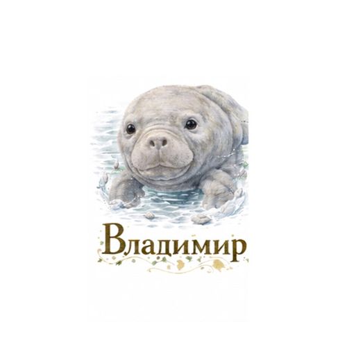 Владимир Ламантин.jpg — Картинки для брелков / Разное, 2072×2072, обои скачать бесплатно