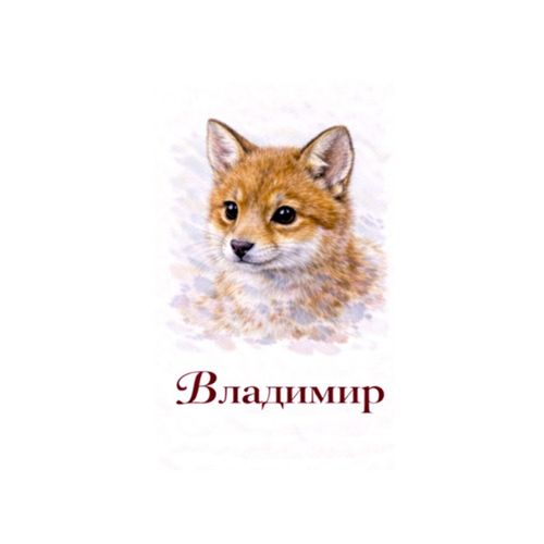 Владимир Лис.jpg — Картинки для брелков / Разное, 2072×2072, обои скачать бесплатно