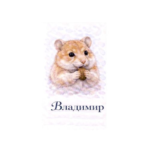 Владимир Хомяк.jpg — Картинки для брелков / Разное, 2072×2072, обои скачать бесплатно