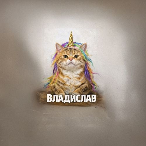 Владислав Единорог.jpg — Картинки для брелков / Разное, 2072×2072, обои скачать бесплатно
