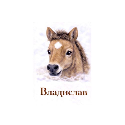 Владислав Конь.jpg — Картинки для брелков / Разное, 2072×2072, обои скачать бесплатно