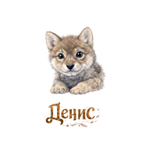 Волчонок Денис.jpg — Картинки для брелков / Разное, 2072×2072, обои скачать бесплатно