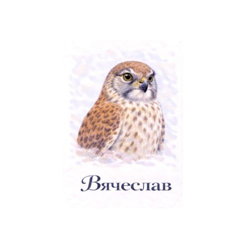 Вячеслав Сокол.jpg — Картинки для брелков / Разное, 2072×2072, обои скачать бесплатно