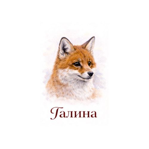 Галина Лиса.jpg — Картинки для брелков / Разное, 2072×2072, обои скачать бесплатно