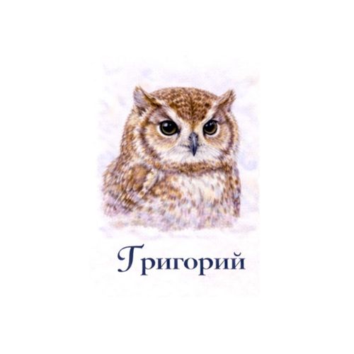Григорий Сова 2.jpg — Картинки для брелков / Разное, 2072×2072, обои скачать бесплатно