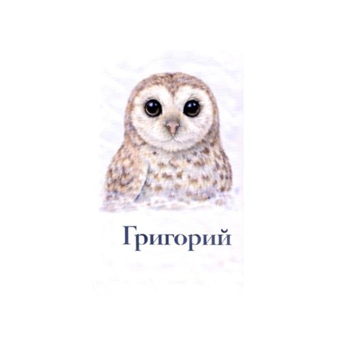Григорий Сова.jpg — Картинки для брелков / Разное, 2072×2072, обои скачать бесплатно