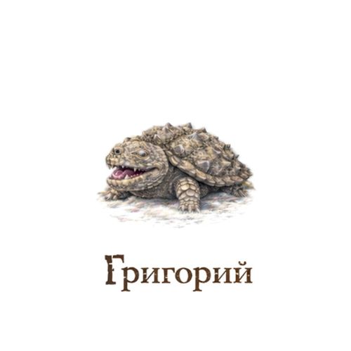 Григорий Черепаха.jpg — Картинки для брелков / Разное, 2072×2072, обои скачать бесплатно