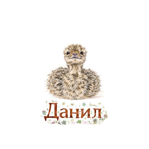 Даниил Страус.jpg — Картинки для брелков / Разное, 2072×2072, обои скачать бесплатно