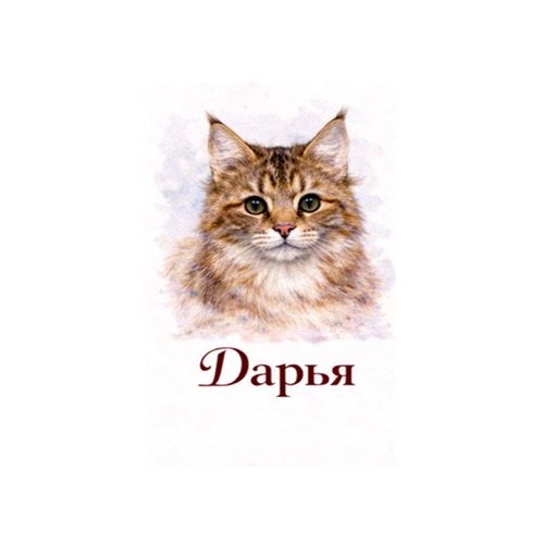 Дарья Кошка.jpg — Картинки для брелков / Разное, 2072×2072, обои скачать бесплатно