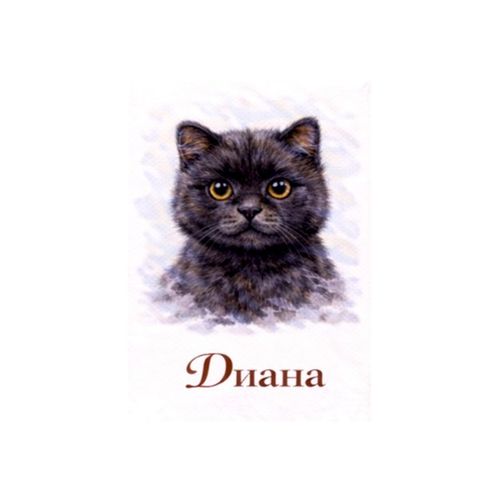 Диана Кот.jpg — Картинки для брелков / Разное, обои скачать бесплатно