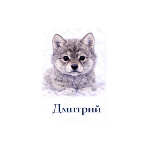Дмитрий Волчонок.jpg — Картинки для брелков / Разное, обои скачать бесплатно