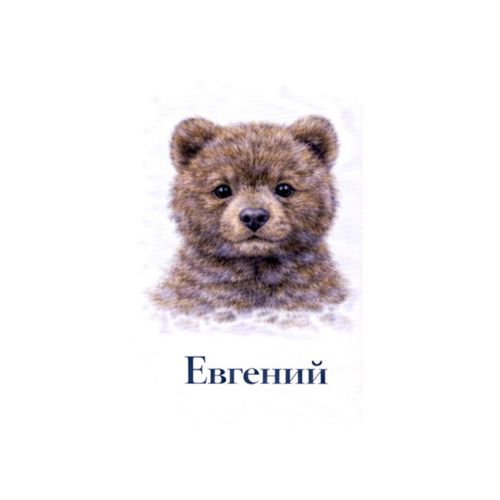 Евгений Медвежонок.jpg — Картинки для брелков / Разное, обои скачать бесплатно