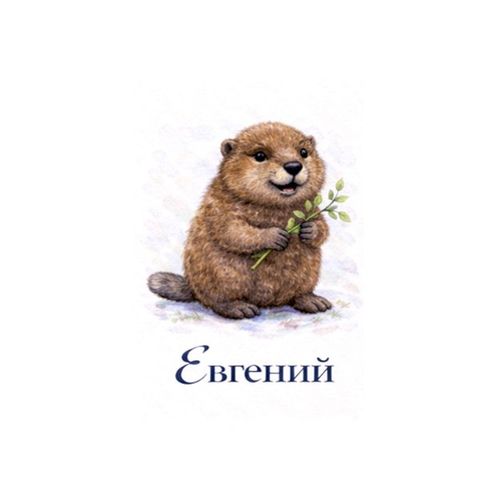 Евгений Сурок.jpg — Картинки для брелков / Разное, обои скачать бесплатно