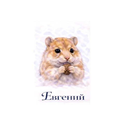 Евгений Хомяк.jpg — Картинки для брелков / Разное, обои скачать бесплатно