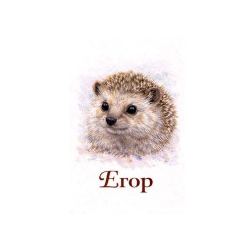Егор Еж.jpg — Картинки для брелков / Разное, обои скачать бесплатно