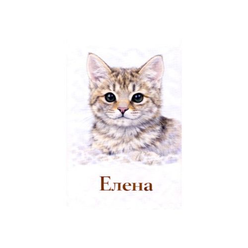 Елена Кот.jpg — Картинки для брелков / Разное, обои скачать бесплатно