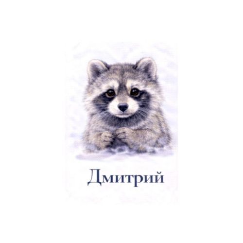 Енот Дмитрий.jpg — Картинки для брелков / Разное, обои скачать бесплатно