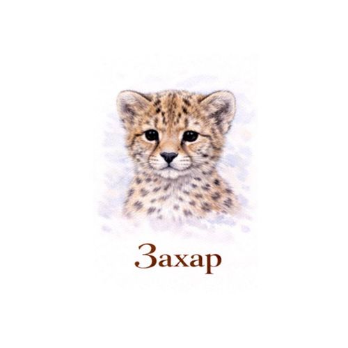 Захар Гепард.jpg — Картинки для брелков / Разное, обои скачать бесплатно