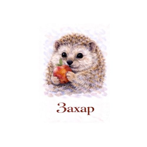 Захар Ежик.jpg — Картинки для брелков / Разное, обои скачать бесплатно