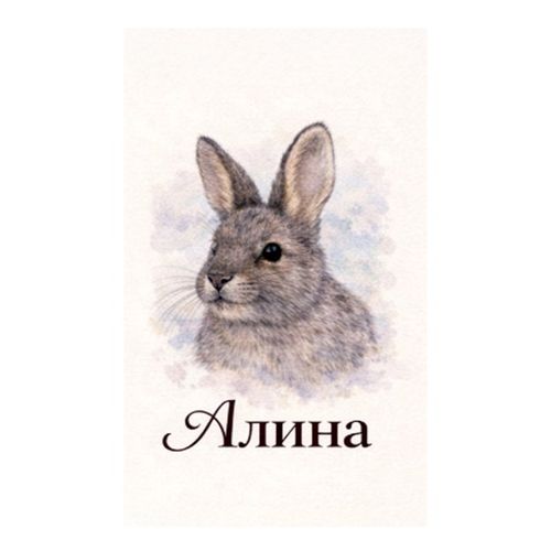 Заяц Алина.jpg — Картинки для брелков / Разное, обои скачать бесплатно