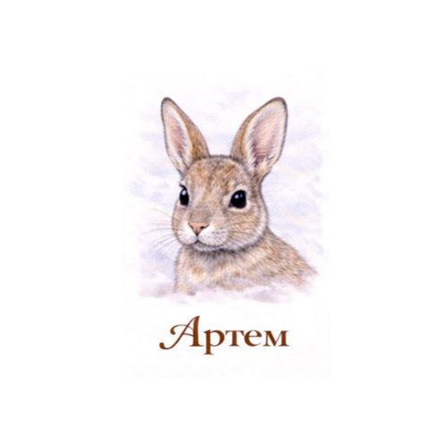 Заяц Артем.jpg — Картинки для брелков / Разное, обои скачать бесплатно