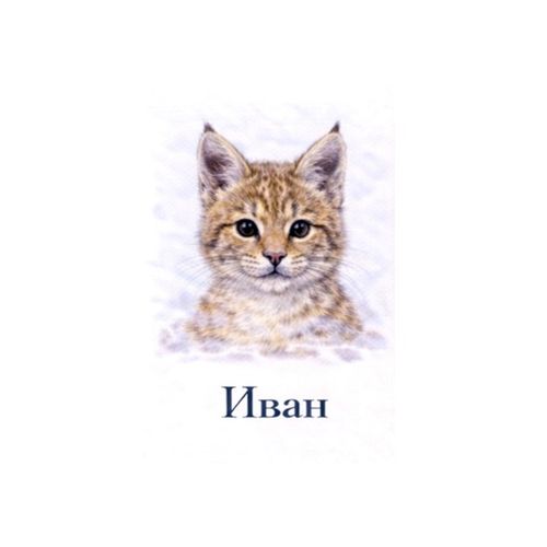 Иван Котенок.jpg — Картинки для брелков / Разное, обои скачать бесплатно