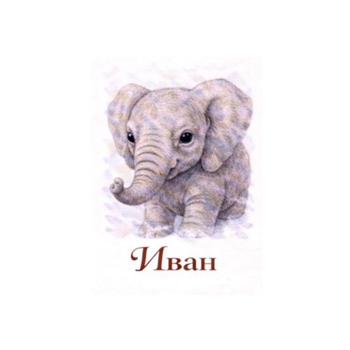 Иван Слон.jpg — Картинки для брелков / Разное, обои скачать бесплатно