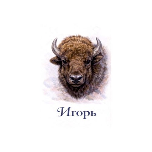 Игорь Бизон.jpg — Картинки для брелков / Разное, обои скачать бесплатно