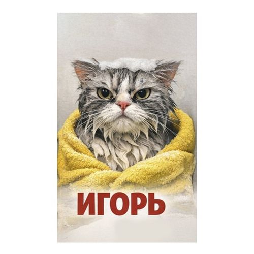 Игорь В Полотенце.jpg — Картинки для брелков / Разное, обои скачать бесплатно