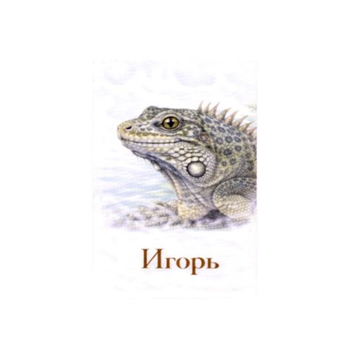Игорь Игуана.jpg — Картинки для брелков / Разное, обои скачать бесплатно