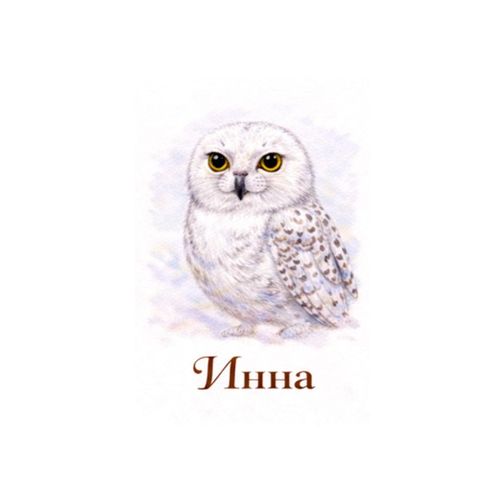 Инна Сова.jpg — Картинки для брелков / Разное, обои скачать бесплатно